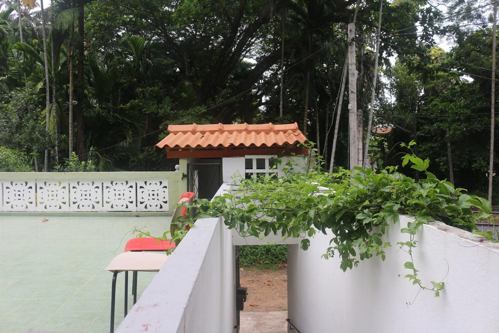 Jungle Guest House ガル エクステリア 写真