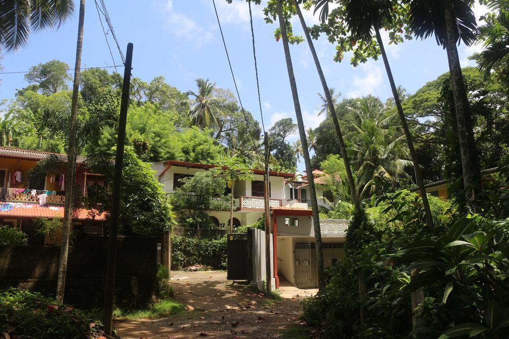 Jungle Guest House ガル エクステリア 写真