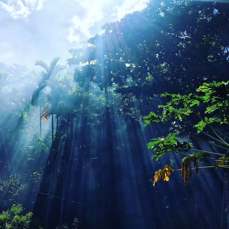 Jungle Guest House ガル エクステリア 写真