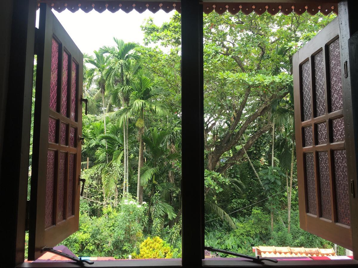 Jungle Guest House ガル エクステリア 写真